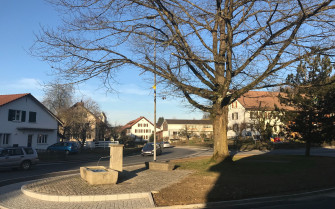 Ammerswil: Räumliches Entwicklungs­leitbild