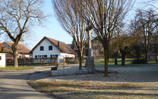 Besenbüren: Gesamt­revision Nutzungs­planung Siedlung und Kulturland 