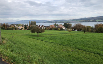 Beinwil am See Gesamtrevision Nutzungsplanung: Beschluss Gemeinde­versammlung